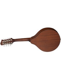 EASTMAN PCH-M104-GB A STYLE GOLDBURST 2