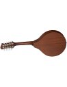 EASTMAN PCH-M104-GB A STYLE GOLDBURST
