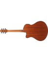 IBANEZ AAM50CE-CRO
