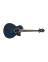 IBANEZ AE200JR-DBF
