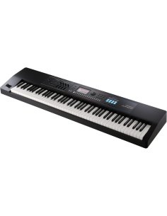 CRUMAR UP4 PEDALE VOLUME/EXPRESSIONE USB