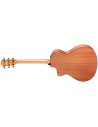 TAYLOR 112ce-N