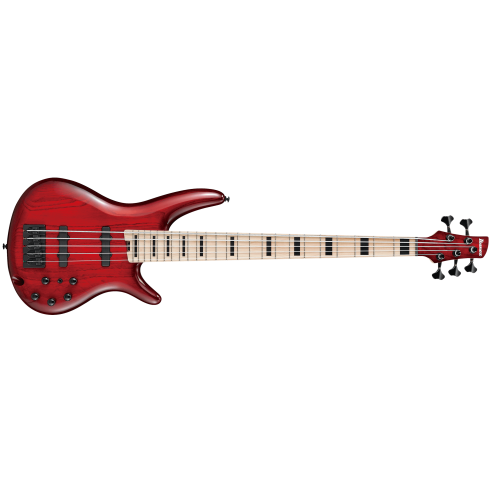 IBANEZ ANB205-TWB ADAM NITTI SIGNATURE