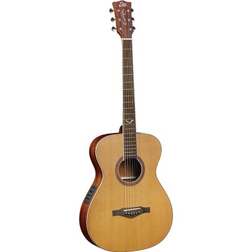 EKO EVO A350ce BARITONE