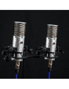 ASTON SPIRIT STEREO PAIR