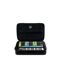MOOG SR SERIES CASE GRANDMOTHER