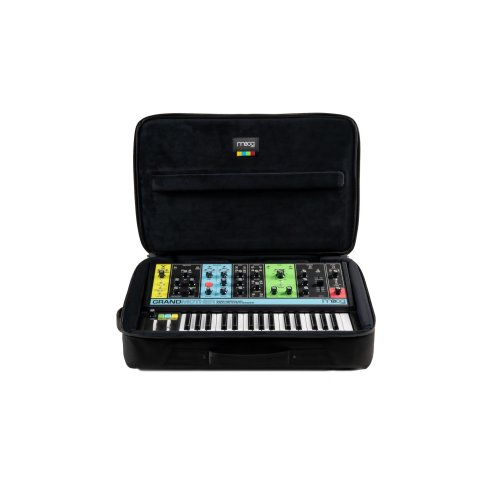 MOOG SR SERIES CASE GRANDMOTHER