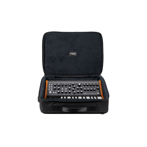 MOOG SUBSEQUENT 25 SR CASE