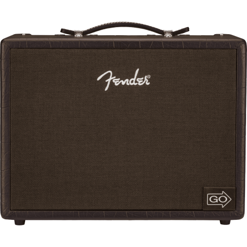 FENDER ACOUSTIC JR GO