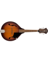 FENDER PM-180 MANDOLINO ELETTRIFICATO