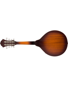 FENDER PM-180 MANDOLINO ELETTRIFICATO 2
