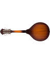 FENDER PM-180 MANDOLINO ELETTRIFICATO