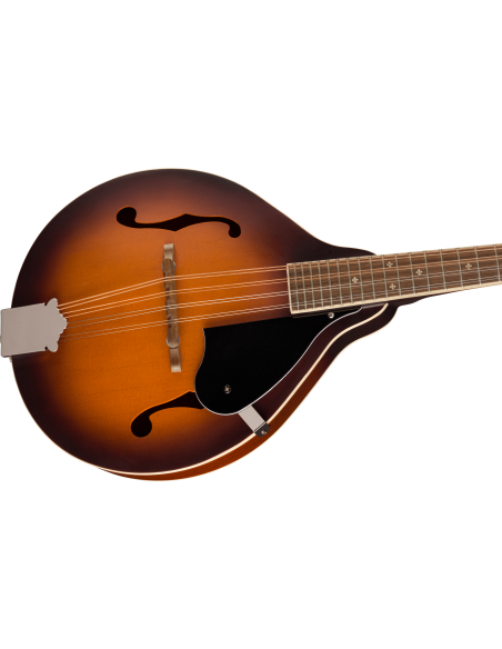FENDER PM-180 MANDOLINO ELETTRIFICATO FENDER PM-180 MANDOLINO ELETTRIFICATO
