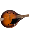 FENDER PM-180 MANDOLINO ELETTRIFICATO