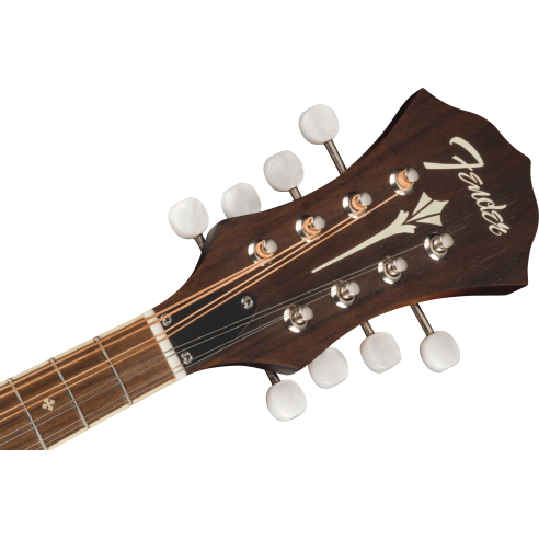 FENDER PM-180 MANDOLINO ELETTRIFICATO