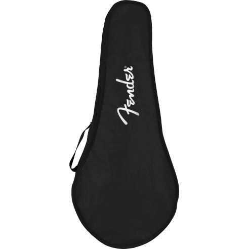 FENDER PM-180 MANDOLINO ELETTRIFICATO