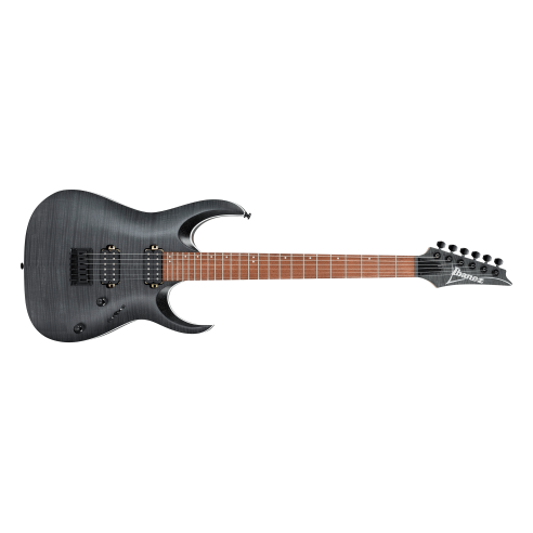 IBANEZ RGA42FML-TGF