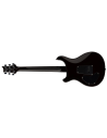 PRS SE DGT MOONS GOLD TOP