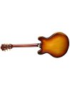 EASTMAN T64/v GB