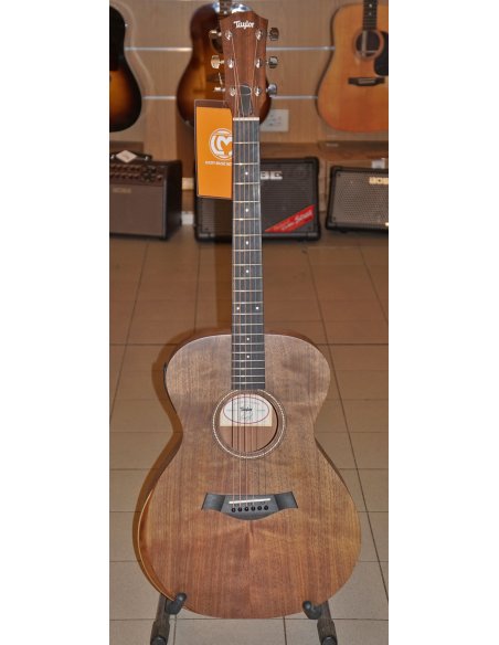 TAYLOR ACADEMY 22E