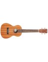 CORDOBA UKULELE PLAYER PACK CONCERT