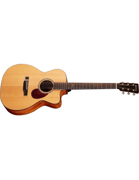 EASTMAN E1 OM CE SPECIAL EASTMAN E1 OM CE SPECIAL
