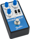 FENDER BASSMAN DELAY