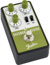 FENDER BASSMAN REVERB