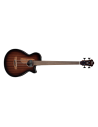 IBANEZ AEGB24FE-MHS
