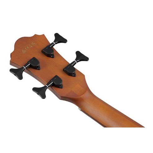 IBANEZ AEGB24FE-MHS
