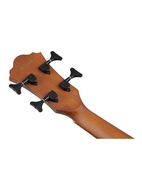 IBANEZ AEGB24FE-MHS IBANEZ AEGB24FE-MHS