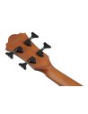 IBANEZ AEGB24FE-MHS