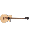 IBANEZ AEGB30E-NTG