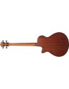 IBANEZ AEGB30E-NTG