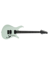 DIVITONE DSG-10 GY  GRAY SMART GUITAR + BAG