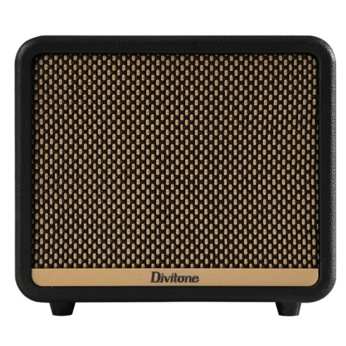 DIVITONE DAM-10BK DIGITAL AMP