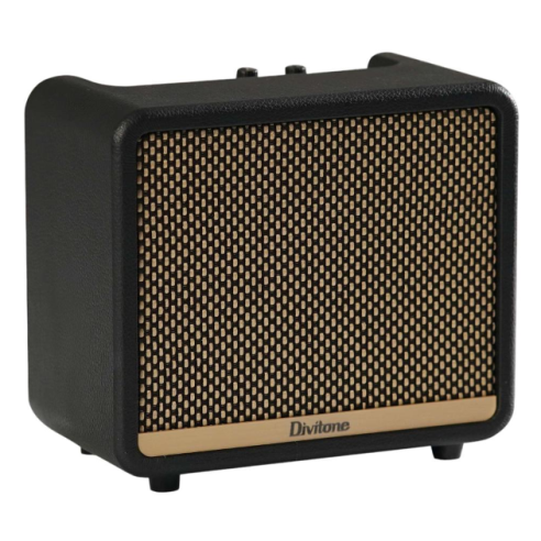 DIVITONE DAM-10BK DIGITAL AMP