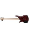 IBANEZ SR305EDX-WZM