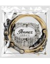 IBANEZ IACS12C 12 STRINGS 10-47 BRONZE 80/20