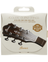 IBANEZ IACSP6C  12-53 PHOSPHOR BRONZE COATED