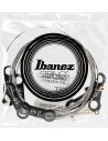 IBANEZ IEGS62 10-52 ELECTRIC NICKEL