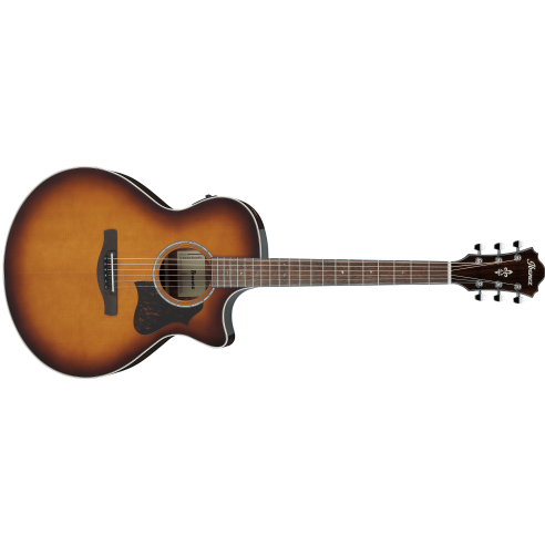 IBANEZ AE160-VMS