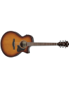 IBANEZ AE160-VMS