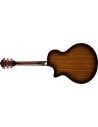 IBANEZ AE160-VMS