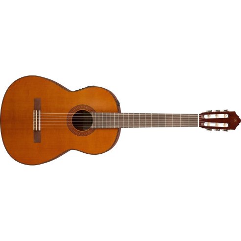 YAMAHA CGX122MC