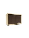 BLACKSTAR ACOUSTIC CORE 30