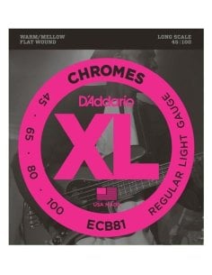 D'ADDARIO ECB81