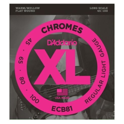D'ADDARIO ECB81