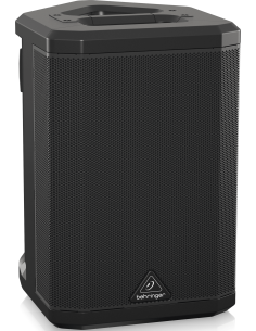 BEHRINGER B1X 2