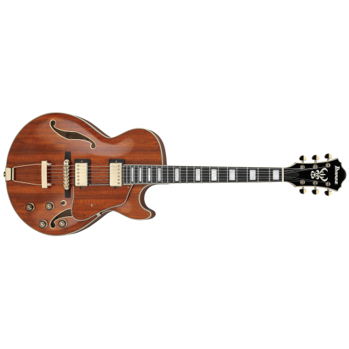 IBANEZ AG95K-NT